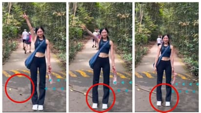 ഫോട്ടോയ്ക്ക് പോസ് ചെയ്യുന്നതിനിടെ യുവതിയുടെ കാലിന് അടുത്ത് എട്ടടി നീളമുള്ള മൂര്‍ഖൻ; വീഡിയോ വൈറൽ 