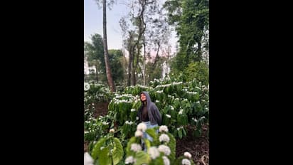 ಕಾಫಿ ಹೂವಿಗೆ ಮುತ್ತು ಕೊಟ್ರೆ ರೇಟ್ ಆಕಾಶ ಮುಟ್ಟದೆ ಏನ್ ಮಾಡುತ್ತೆ; ಭವ್ಯಾ ಗೌಡ ಫೋಟೋ ವೈರಲ್