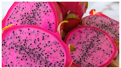 ഡ്രാഗൺ ഫ്രൂട്ട് വീട്ടിൽ വളർത്താം; ഇത്രയേ ചെയ്യാനുള്ളൂ 