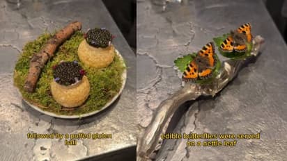 ചിത്രശലഭങ്ങൾ, ജെല്ലി ഫിഷ്, കൂട്ടിൽ വിളമ്പുന്ന കോഴിക്കാല്; അതിവിചിത്രമായ മെനുവുമായി റെസ്റ്റോറന്റ്