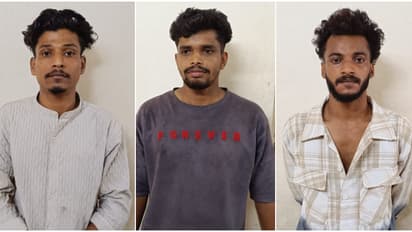 പാണക്കാട് റോഡരികിൽ നിന്ന് ലഹരി ഉപയോഗം കണ്ടപ്പോൾ ചോദ്യം ചെയ്തതിന് പെരുന്നാൾ ദിനത്തിൽ പ്രതികാരം, 3 പേർ പിടിയിൽ