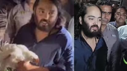 ಪಾದಯಾತ್ರೆ ಮಾಡಿ ಕೋಳಿ ಕೊಂಡಿದ್ಯಾಕೆ ಅನಂತ್ ಅಂಬಾನಿ?