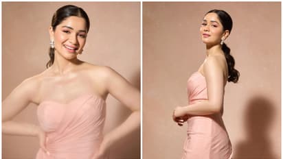 ಗ್ಲೋಬಲ್ ಇ-ಕ್ರಿಕೆಟ್ ಪ್ರೀಮಿಯರ್ ಲೀಗ್‌: ಮುಂಬೈ ಫ್ರಾಂಚೈಸಿ ಮಾಲೀಕರಾದ ಸಾರಾ ತೆಂಡೂಲ್ಕರ್!