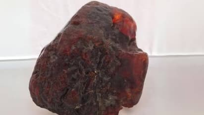 കോടിക്കണക്കിന് രൂപ വിലയുള്ള നിധി! വീട്ടുവാതിൽക്കൽ വച്ച വെറുമൊരു കല്ല് എന്തെന്ന് മരണം വരെ അറിഞ്ഞില്ല