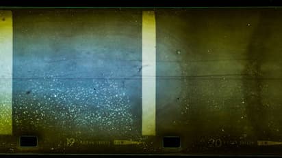 55 കൊല്ലം മുമ്പ് വെള്ളത്തിനടിയിൽ ക്യാമറ വച്ചത് ആ ജീവിയുടെ ദൃശ്യം പകർത്താൻ, പക്ഷേ പതിഞ്ഞത്