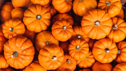 ഡയറ്റില് മത്തങ്ങ ഉള്പ്പെടുത്തൂ; അറിയാം ആരോഗ്യ ഗുണങ്ങള്