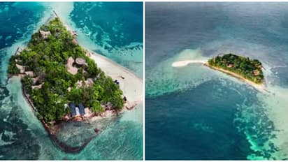 'കൊറോണ ദ്വീപ്' തുറന്നു! പൊതുജനങ്ങളെ സ്വാഗതം ചെയ്ത് ബിയര്‍ കമ്പനി, എങ്ങനെ ബുക്ക് ചെയ്യാം? വിശദ വിവരങ്ങൾ ഇതാ