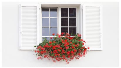 വീടിന്റെ ബാൽക്കണി ഒഴിച്ചിടേണ്ട, സിംപിളായി മനോഹരമാക്കാം; ഇത്രയേ ചെയ്യാനുള്ളൂ 