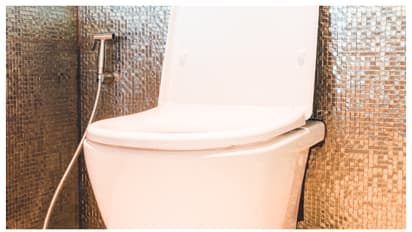 എന്തിനാണ് ടോയ്‌ലറ്റ് ഫ്ലഷിൽ രണ്ട് ബട്ടൺ കൊടുത്തിരിക്കുന്നത്; നിങ്ങൾക്കറിയാമോ?