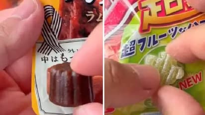 ജപ്പാൻകാർ കൊള്ളാല്ലോ, കണ്ടുപഠിക്കണം, ഇങ്ങനെ വേണം ഭക്ഷണസാധനങ്ങൾ പാക്ക് ചെയ്യാൻ, വീഡിയോ 