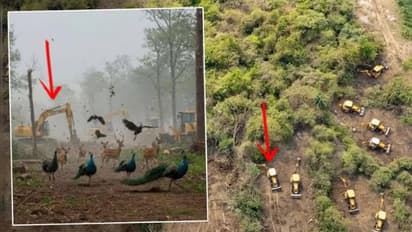 ஹைதராபாத்தில் 400 ஏக்கர் நிலத்தில் மரங்கள் வெட்டப்படுவதற்கு உச்ச நீதிமன்றம் தடை!