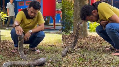 ശരിക്കും നീയൊരു മൂർഖൻ തന്നെടേ? അമ്പരപ്പൊഴിയാതെ ആളുകൾ, തലയിൽ കൈവച്ച് താലോലിച്ച് യുവാവ് 