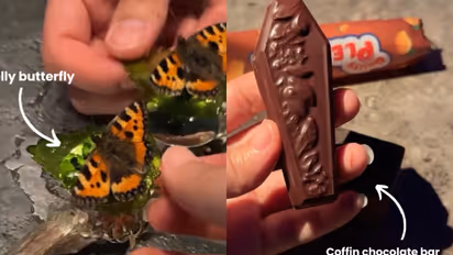 Copenhagen’s Alchemist restaurant ignites controversy with unconventional, $700 five-hour dining experience