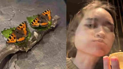 மொறு மொறு பட்டாம்பூச்சி, பூச்சி ஐஸ்கிரீம்! பிரபல உணவகத்தின் மெனு! ஆடிப்போன வாடிக்கையாளர்கள்! 