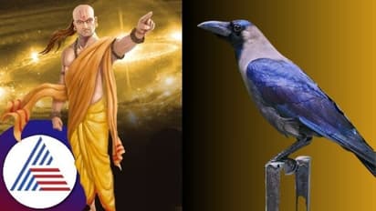 Chanakya Niti: చాణక్య నీతి ప్రకారం మనిషి.. కాకి నుంచి నేర్చుకోవాల్సిన 5 విషయాలెంటో తెలుసా?