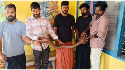 ഒരേ സംഘം, 3 പേർ തൃക്കരിപ്പൂർ സ്വദേശികൾ, 2 പേർ ആന്ധ്ര സ്വദേശികളും; കണ്ണൂരിൽ 5 പേരും ഇരുതലമൂരിയുമായി പിടിയിലായി