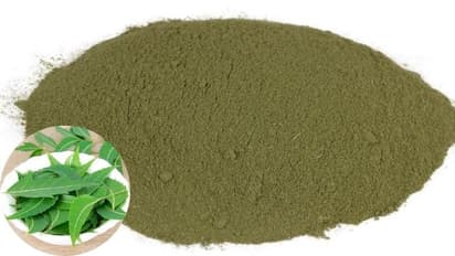 ಮನೆಯಲ್ಲೇ  ಕುಳಿತು ಬೇವಿನ ಪೌಡರ್ ಮಾರಿ ಲಕ್ಷಾಂತರ ಗಳಿಸಿ