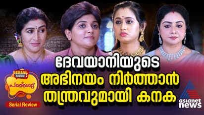 നവ്യയോടൊപ്പം നയനയും വീട്ടിലേയ്ക്ക് - പത്തരമാറ്റ് സീരിയൽ റിവ്യൂ 
