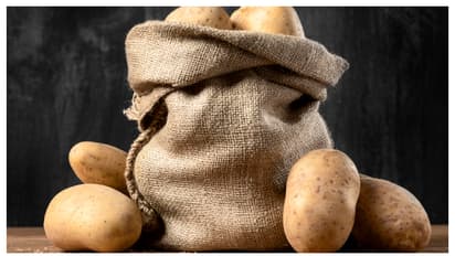 മുളച്ച ഉരുളകിഴങ്ങ് നട്ടുവളർത്തേണ്ടത് ഇങ്ങനെയാണ് 