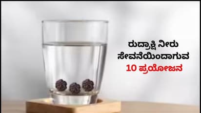 ರುದ್ರಾಕ್ಷಿ ನೀರು ಸೇವನೆಯಿಂದ ನೆಮ್ಮದಿ, ಆರೋಗ್ಯ ಹಾಗೂ ಬುದ್ಧಿಶಕ್ತಿ ಹೆಚ್ಚಳ!