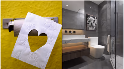 Why your toilet flush has one large and one small button? Know hidden truth HERE