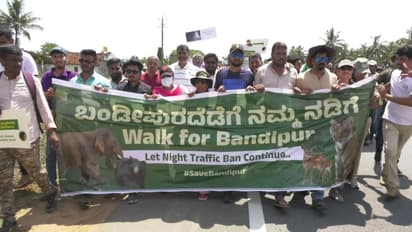 ಬಂಡೀಪುರ ಉಳಿಸಿ ಅಭಿಯಾನ: 'ನಮ್ಮ ನಡಿಗೆ ಬಂಡಿಪುರದ ಕಡೆಗೆ' ಬೃಹತ್ ಪಾದಯಾತ್ರೆಗೆ ಚಾಲನೆ