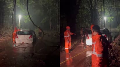 Kerala: Google Maps misdirection traps five in Nilambur forest; rescued after hours by firefighters