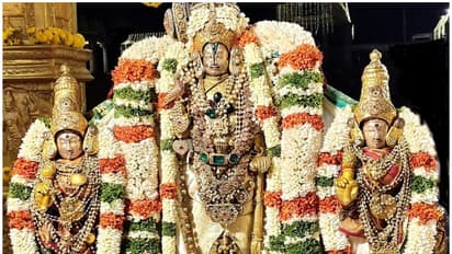 ಮೇಲುಕೋಟೆ ವೈರಮುಡಿ ಕಿರೀಟಕ್ಕೆ ಪೂಜೆ ಸಲ್ಲಿಸುತ್ತಿದ್ದ ವೇಳೆ ಭಕ್ತನ ಮೈಮೇಲೆ ಬಂದ ಚೆಲುವನಾರಾಯಣ ಸ್ವಾಮಿ!