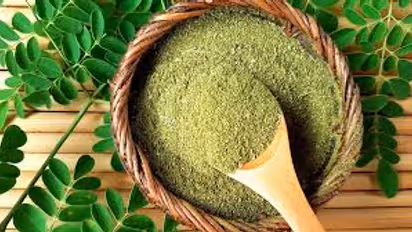 Moringa : మునగాకుల పొడి రోజూ  తింటే జరిగే మ్యాజిక్ ఇదే..!