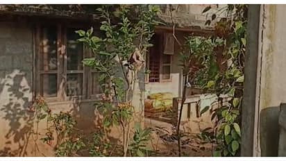 കൊല്ലത്ത് ഉറങ്ങിക്കിടന്ന മകനെ മദ്യലഹരിയിൽ വെട്ടിപ്പരിക്കേൽപിച്ച് അച്ഛൻ; ​ഗുരുതര പരിക്ക്, പ്രതി അറസ്റ്റിൽ 