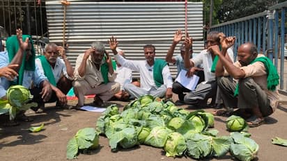 ಎಲೆಕೋಸು ಕೇಜಿಗೆ 80 ಪೈಸೆ, ಟೊಮೆಟೋ ಬೆಲೆ ಕುಸಿತ: ತರಕಾರಿ ರಸ್ತೆಗೆ ಸುರಿದು ರೈತರ ಪ್ರತಿಭಟನೆ