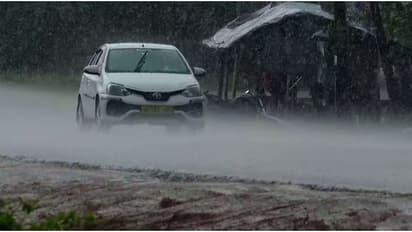 വയനാട്ടിൽ കനത്ത വേനൽമഴ തുടരുന്നു; ഒപ്പം ഇടിയും കാറ്റും, സംസ്ഥാനത്ത് ഇന്ന് ഒറ്റപ്പെട്ടയിടങ്ങളിൽ മഴയ്ക്ക് സാധ്യത