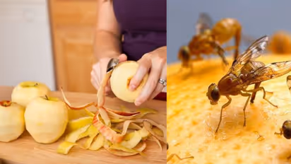 fruit cutting cleaning tips