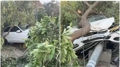 അമിത വേഗത്തിലെത്തിയ കാർ ഫൂട്ട്പാത്തിലേക്ക് പാഞ്ഞുകയറി പോസ്റ്റും മരവും ഇടിച്ചിട്ടു, ഡ്രൈവർക്ക് ഗുരുതര പരിക്ക്