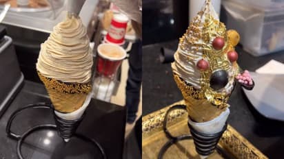 സോഷ്യൽ മീഡിയ പേരിട്ടു 'അംബാനി ഐസ്ക്രീം'; ഇന്ത്യയിലെ ഏറ്റവും വിലയേറിയ ഐസ്ക്രീം?  