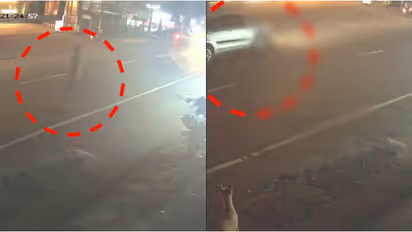 പൂച്ചയെ രക്ഷിക്കാൻ ബൈക്ക് നിർത്തി റോഡിലേക്ക് ഇറങ്ങി; തൃശൂർ മണ്ണുത്തിയിൽ യുവാവ് കാറിടിച്ചു മരിച്ചു