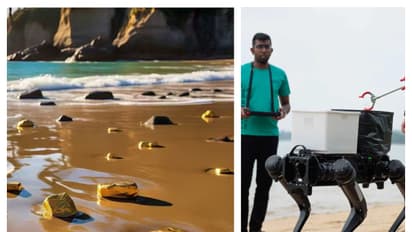 கடற்கரைகளில் தங்க புதையல்! இது மட்டும் இந்தியாவில் இருந்தா உலகத்துக்கே தண்ணி காட்டலாமே