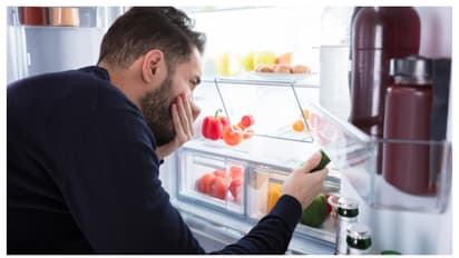 വൃത്തിയാക്കിയിട്ടും ഫ്രിഡ്ജിലെ ദുർഗന്ധം മാറിയില്ലേ? എങ്കിൽ ഇങ്ങനെ ചെയ്യൂ