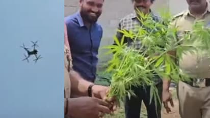 രാമനാട്ടുകരയിൽ ഡ്രോണ് പരിശോധനക്കിടെ പൊലീസിന് സംശയം, ആളൊഴിഞ്ഞ പറമ്പിൽ കണ്ടെത്തിയത് 16 കഞ്ചാവ് ചെടികൾ