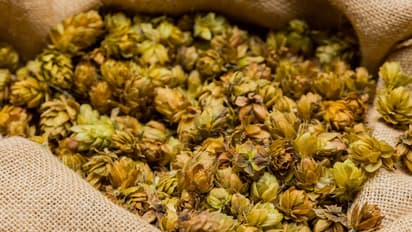 ಅಯ್ಯಯ್ಯೋ! ಪುರುಷರ ಲೈಂಗಿಕ ಸಾಮರ್ಥ್ಯ ಹೆಚ್ಚಿಸುವ ಈ ತರಕಾರಿಯ ಬೆಲೆ ಕೆಜಿಗೆ 85 ಸಾವಿರ ಮುಟ್ಟಿದೆ