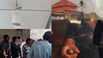 കളക്ടർ ഇടപെട്ടു, ജില്ലാ ജഡ്ജിയും നേരിട്ടെത്തി; അപൂർവ റെക്കോർഡുമായി അങ്ങാടിക്കുരുവി തടവിൽ നിന്ന് പുറത്തേക്ക്