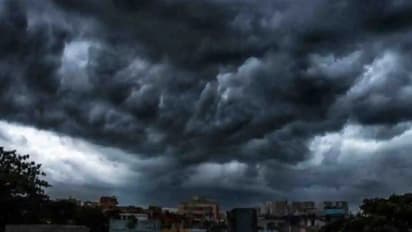 Kolkata Weather LATEST update: Thunderstorm, rain predicted for THESE 3 districts