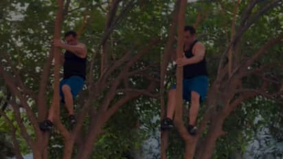 59ರ ಸಲ್ಮಾನ್ ಖಾನ್ ಮಂಗನಂತೆ ಮರ ಏರಿದ್ರು, ಏನ್ ಕಿತ್ಕೊಂಡು ಬಂದ್ರು?