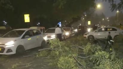 15 flights diverted after rain, dust storms in Delhi-NCR, red alert issued; IMD warns of more showers (WATCH)