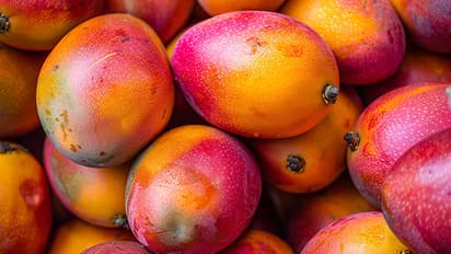 THIS is World's most expensive Mango; Check out cost and where to buy
