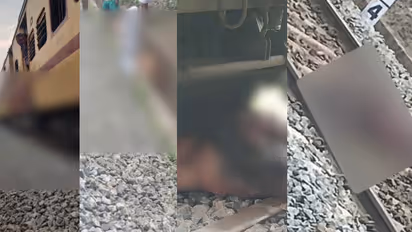 പാലക്കാട് ട്രെയിൻ ഇടിച്ച് 17 പശുക്കള് കൂട്ടത്തോടെ ചത്തു