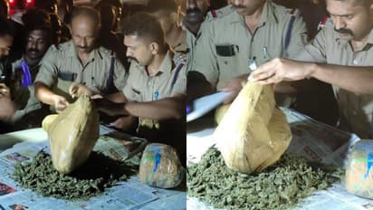 പാപ്പിനിശ്ശേരിയിൽ നിന്നും കണ്ണൂരിലേക്കുള്ള ബസ്; പരിശോധനയിൽ 5 കിലോ കഞ്ചാവ് കണ്ടെത്തി, യുപി സ്വദേശികൾ പിടിയിൽ