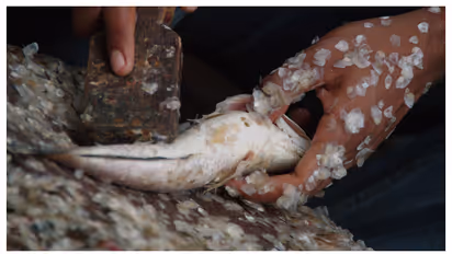 അടുക്കളയിൽ മീൻ മണം അസഹനീയമാണോ? എങ്കിൽ ഇങ്ങനെ ചെയ്തു നോക്കൂ