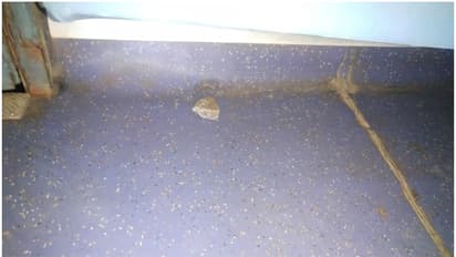 കോയമ്പത്തൂർ - കണ്ണൂർ എക്സ്പ്രസിൽ നിന്ന് ആളുകൾ ഇറങ്ങി; പിന്നാലെ ട്രെയിനിന് നേർക്ക് പാഞ്ഞെത്തി കല്ലുകൾ, അറസ്റ്റ്