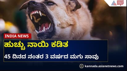 ಹುಚ್ಚು ನಾಯಿ ಕಚ್ಚಿ 3 ವರ್ಷದ ಮಗು ಸಾವು: ನಾಯಿ ಕಚ್ಚಿದ್ರು ಚಿಕಿತ್ಸೆ ಪಡೆಯದ 10 ಮಕ್ಕಳು